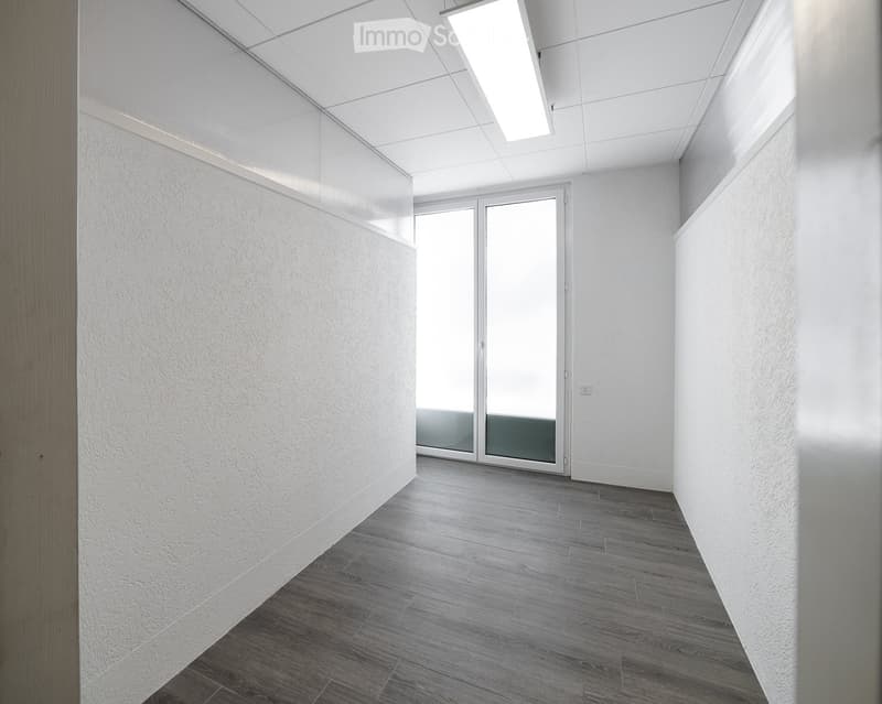 Modern hallway with white walls, grey wooden flooring, and a large glass door leading to another space.