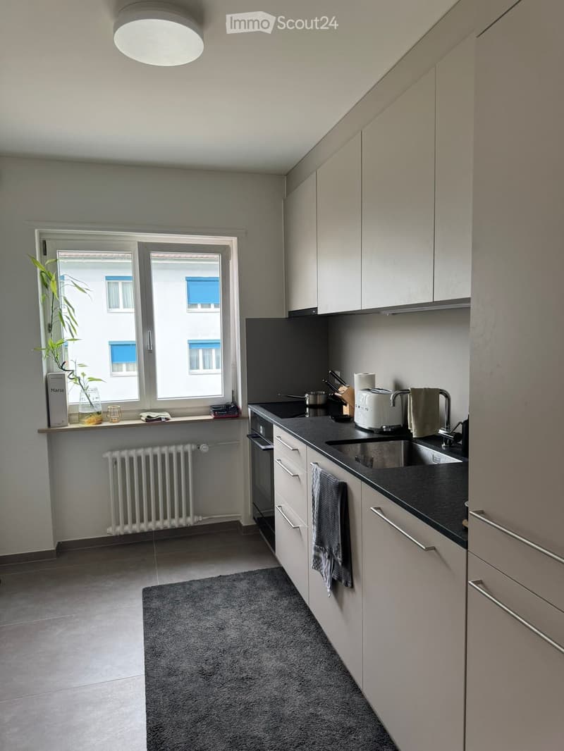 Modern kitchen with white cabinets, black countertops, stainless steel appliances, and a window with a plant on the sill.
