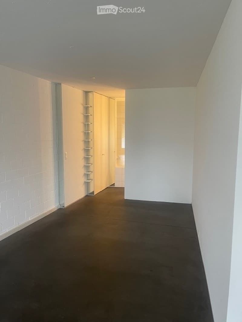 Empty room with white brick wall, dark flooring, and built-in shelving unit.