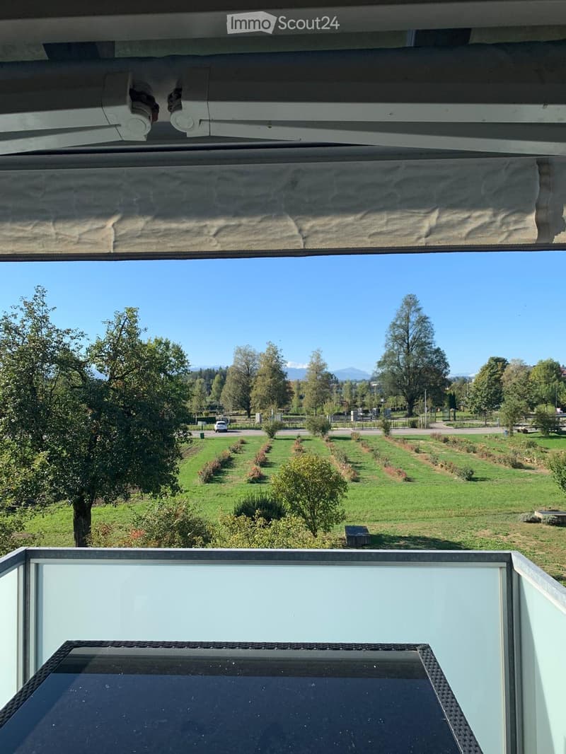 Balcony with a view of a green park, trees, and distant mountains under a clear blue sky.