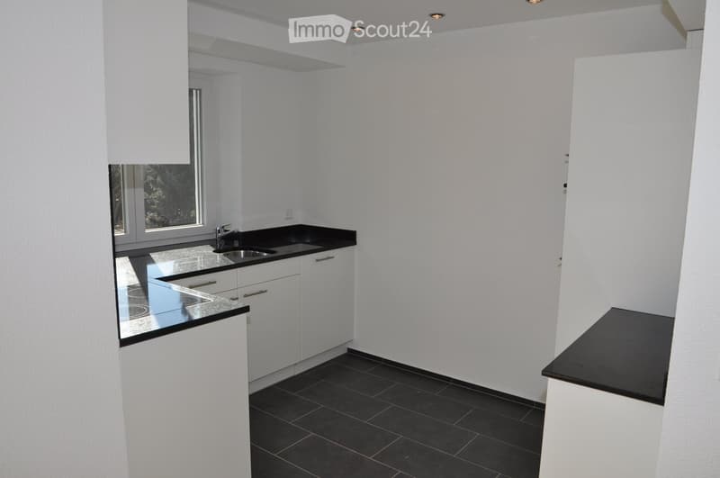 Modern kitchen with white cabinets, black countertops, and a stainless steel sink.