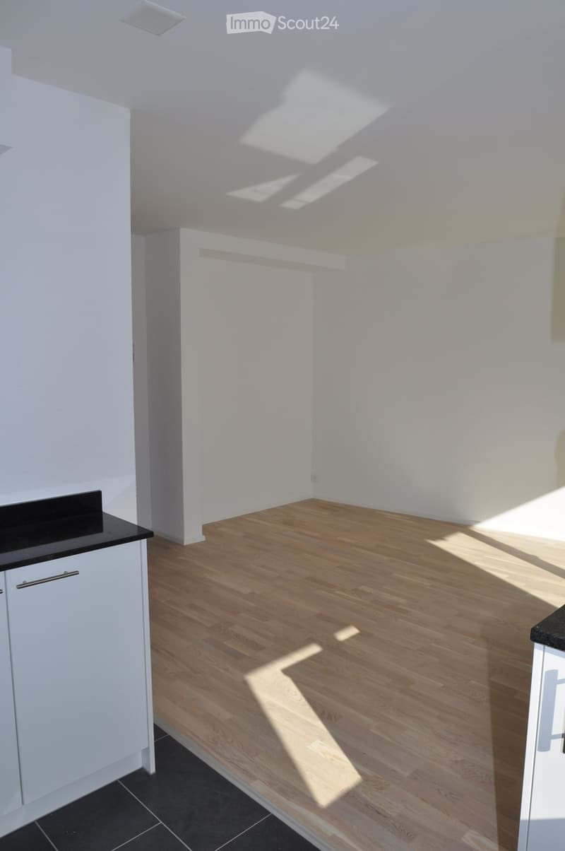Empty room with white walls, light wooden flooring, and white cabinetry. Sunlight streams in from a skylight above.