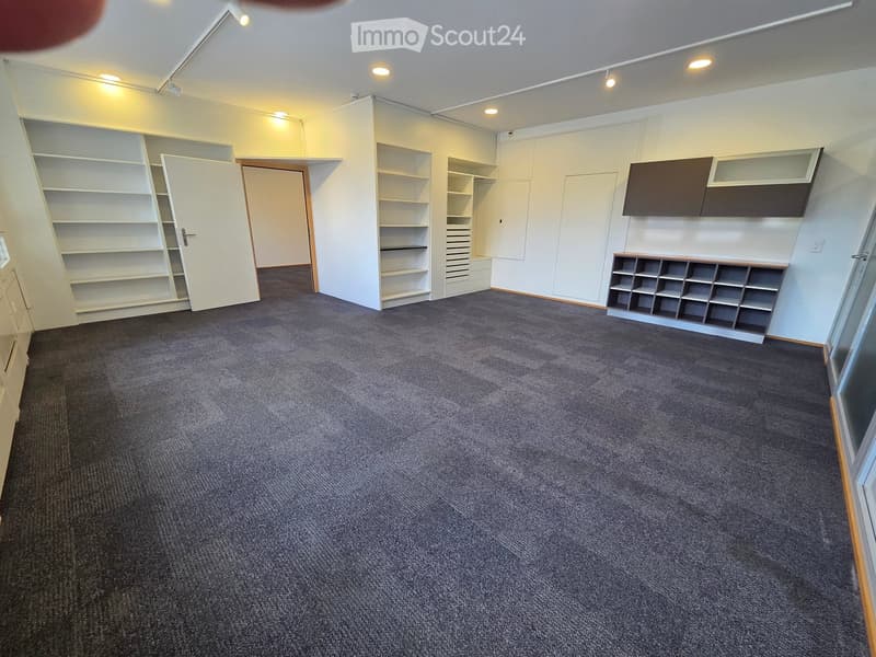 Empty room with carpeted floor, white walls, built-in shelving units, and a door leading to another space.