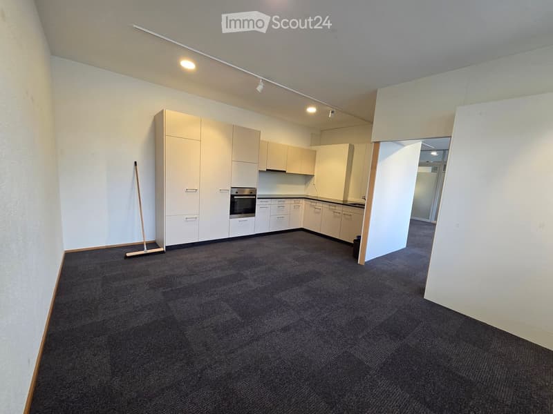 Empty room with light-colored cabinets, a dark carpet, and a broom leaning against the wall. The space is clean and unfurnished.