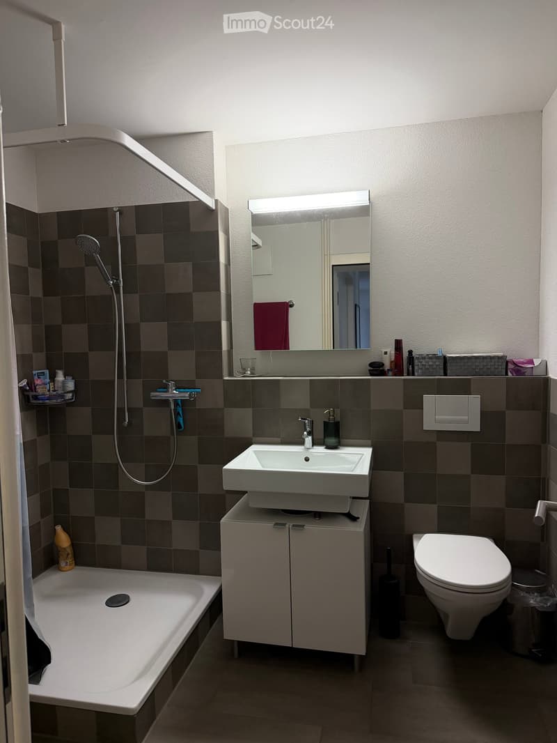 Modern bathroom with a white bathtub, a sink with a modern faucet, a toilet, a large mirror with built-in lighting, and a shower area with a handheld showerhead. The walls are tiled in a dark brown color, and there is a small cabinet under the sink.