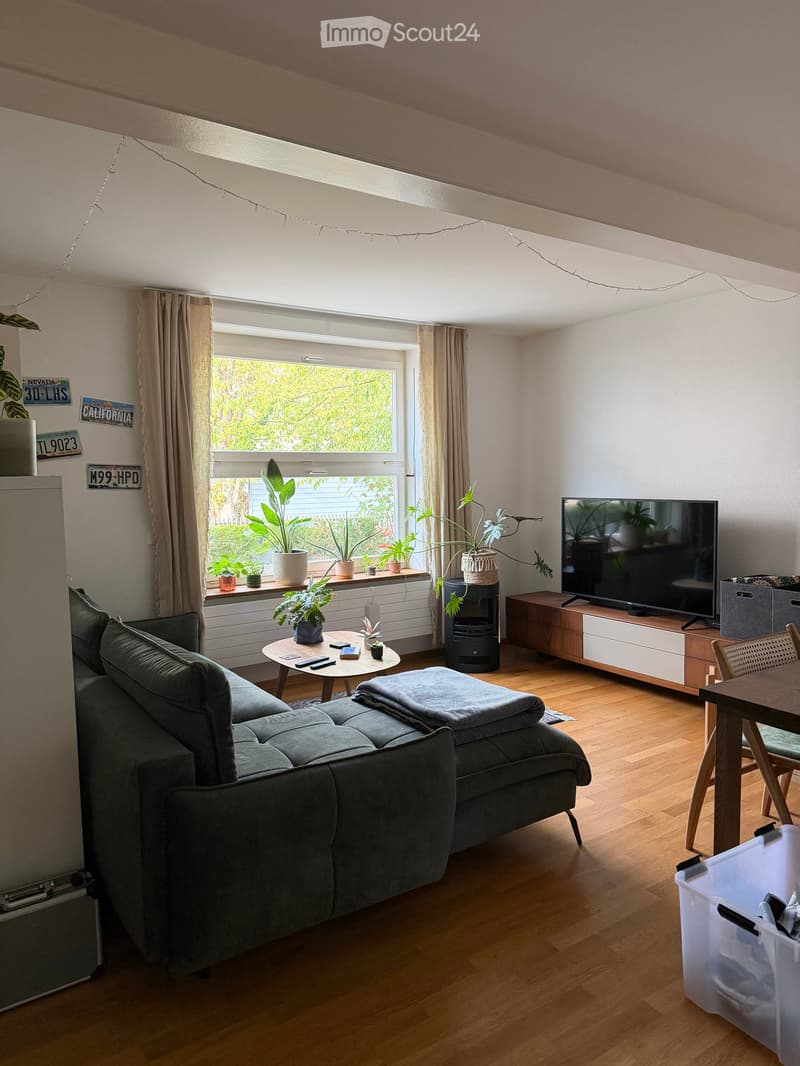 Living room with wooden flooring, large window with plants, grey sectional sofa, coffee table, TV stand, and dining area with a table and chairs.