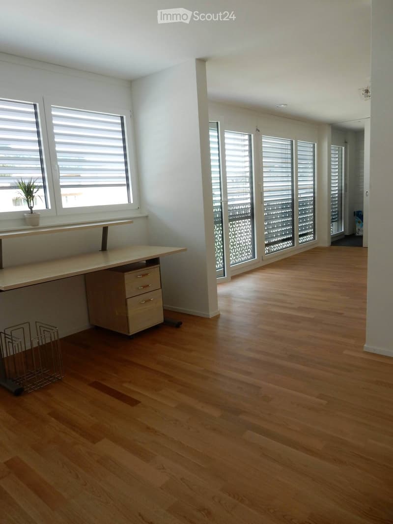 Empty room with wooden flooring, large windows with blinds, and a small table with a potted plant on a windowsill. The room has a modern, minimalist design with white walls and a central column.