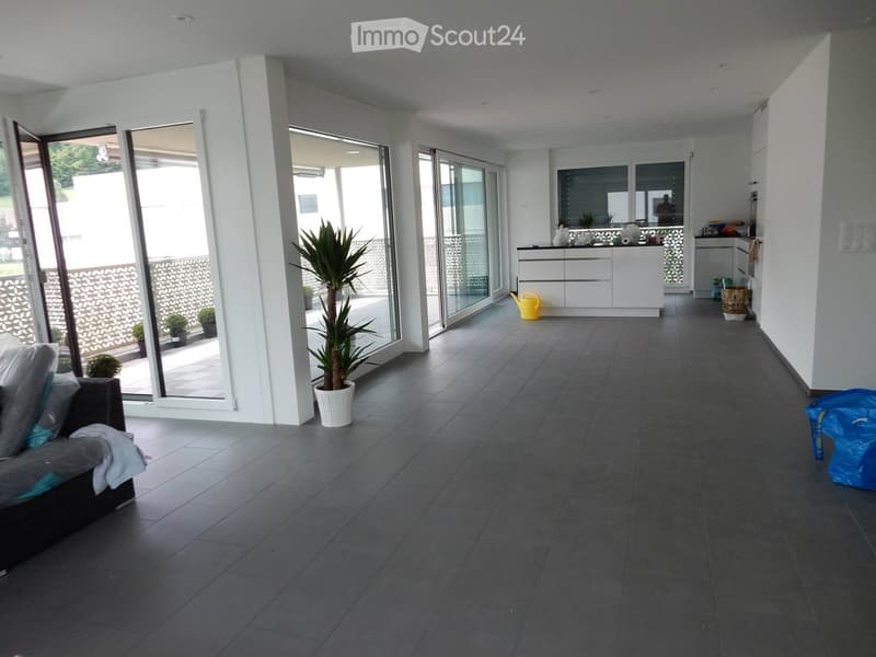 A modern, open-plan living space with dark tiled flooring, a black sofa, potted plants, and a white kitchen area with cabinets and a counter.