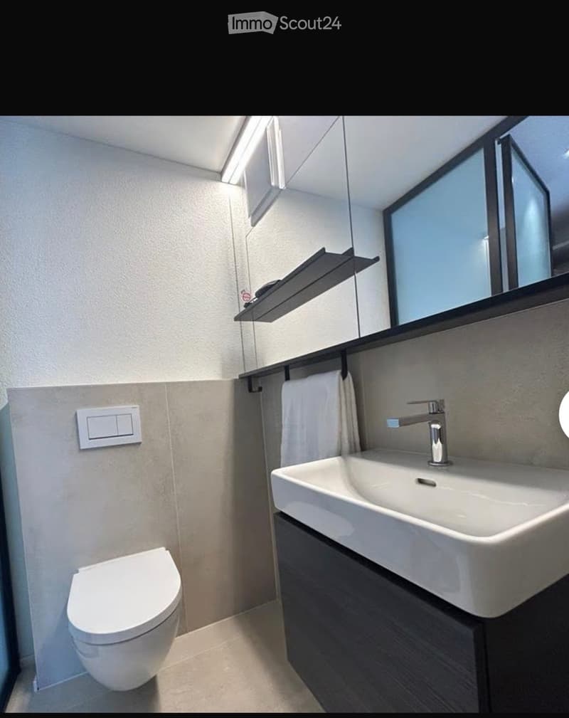 Modern bathroom with a white toilet, a white sink with a chrome faucet, a large mirror, a towel, and a shelf above the sink.