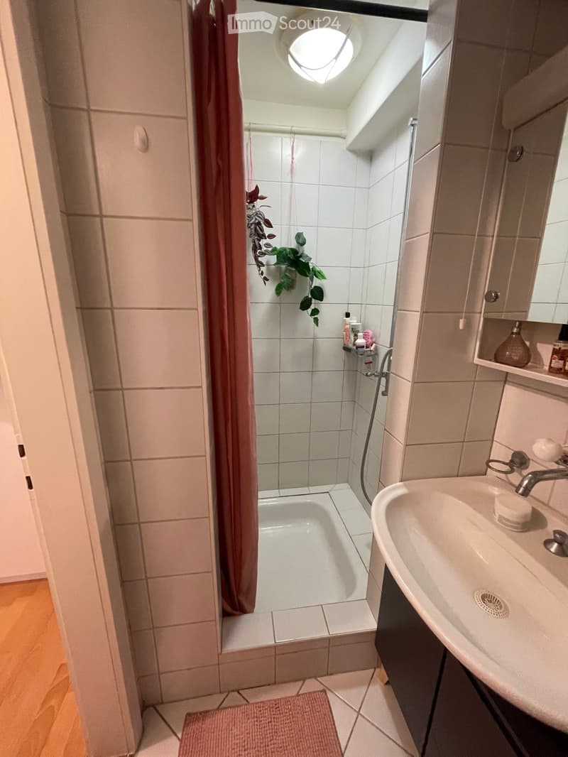 Bathroom with a sink, bathtub, mirror, and a small plant in the corner. The sink has a modern faucet and a small shelf with toiletries. The bathtub is enclosed by a shower curtain.