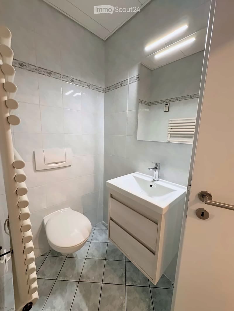 Modern bathroom with white tiles, a toilet, a sink with a faucet, a mirror, and a radiator. The walls are painted in a light blue color with a decorative border near the ceiling.