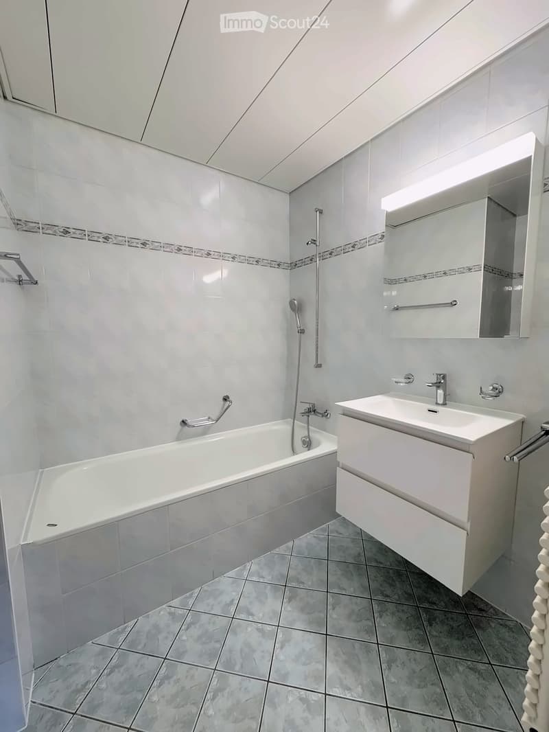 Modern bathroom with a white bathtub, double sink vanity, large mirror, and built-in storage. Features grey tiled walls and floor with decorative border tiles.