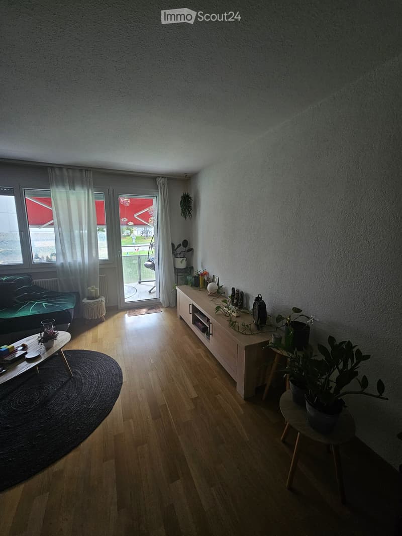 Bright living room with wooden flooring, large windows, and a sliding glass door leading to a balcony. Features a sofa, coffee table, side table, and several potted plants.