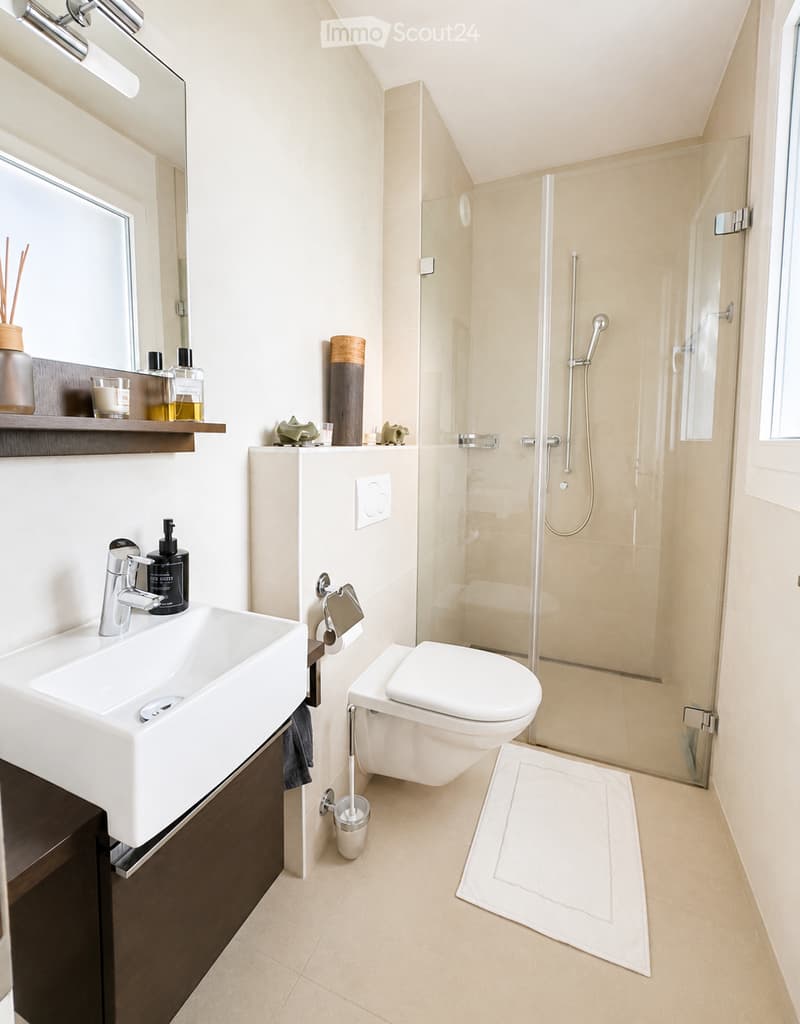 Modern bathroom with a white sink, chrome faucet, toilet, glass-enclosed shower, and various bathroom accessories on the shelves.