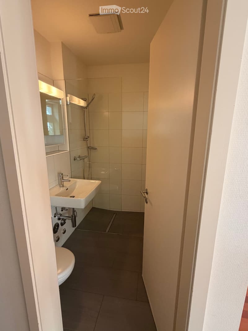 Modern bathroom with a white sink, chrome faucet, mirror, toilet, and a glass-enclosed shower area.