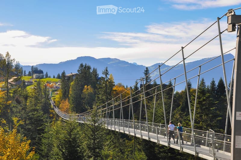 A suspension bridge stretches over a forested valley with mountains in the background, surrounded by trees and houses.