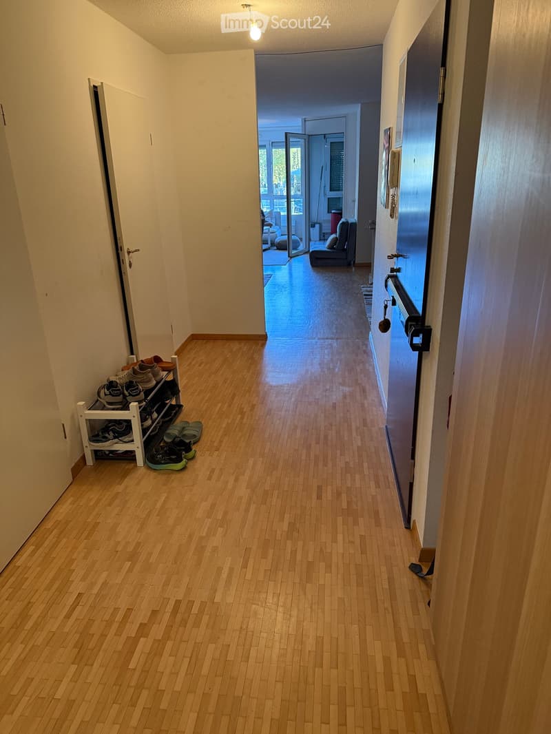 A long, narrow hallway with wooden flooring, white walls, and a shoe rack on the left side. The hallway leads to an open area with a sofa and a view of a balcony.