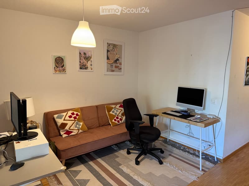 A cozy living room with a sofa, a desk with a computer, a chair, and decorative artwork on the walls.