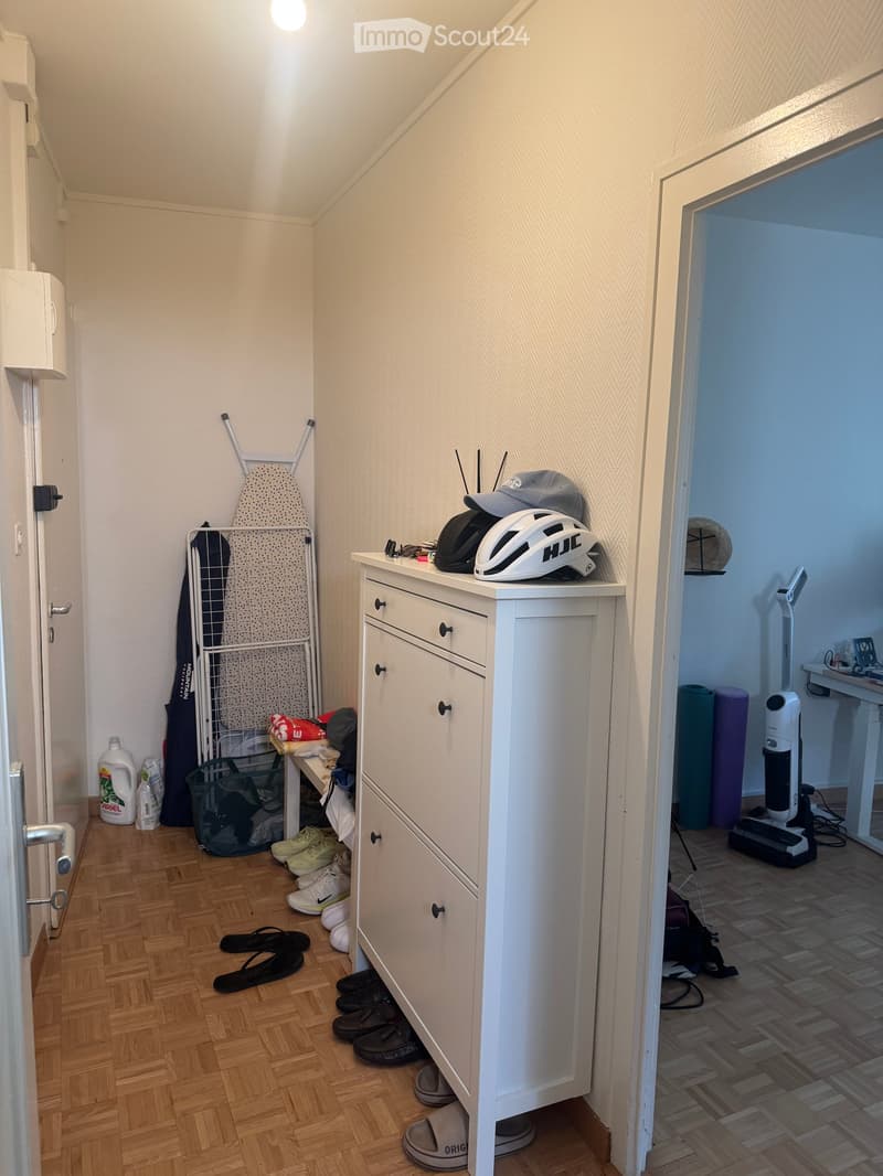Charming Apartment in Eaux-Vives – Available November 1, 2026 (5)