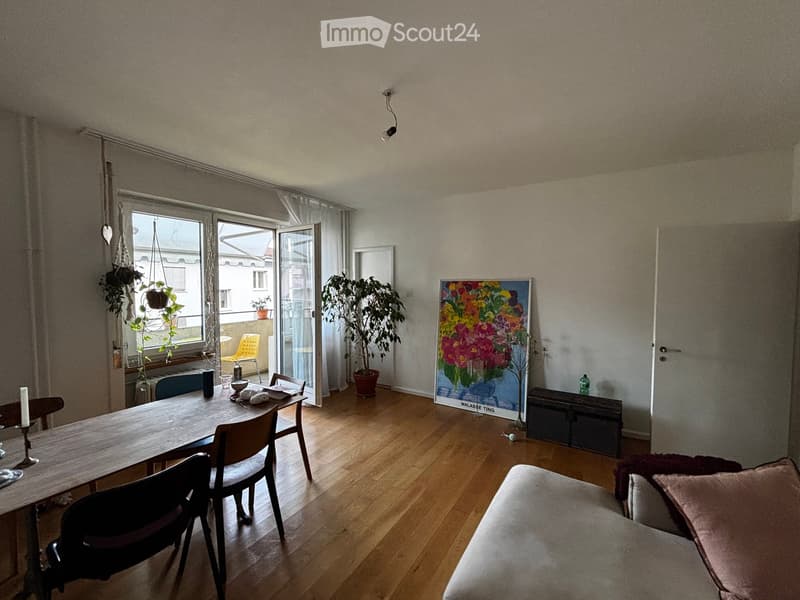 Bright living and dining area with wooden flooring, large windows, a sofa, dining table, chairs, and a potted plant near the window.