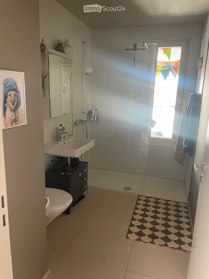 Modern bathroom with a white sink, mirror, toilet, glass-enclosed shower, and a decorative rug on the floor.