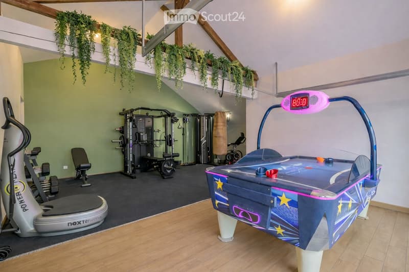 A multi-purpose room with exercise equipment, a punching bag, and a table tennis table. The room features exposed wooden beams and hanging plants, creating a cozy and functional space.