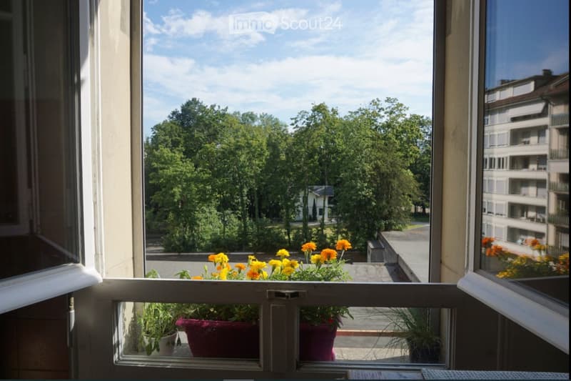 Open window view of a balcony with potted plants and flowers, overlooking a green park and buildings.