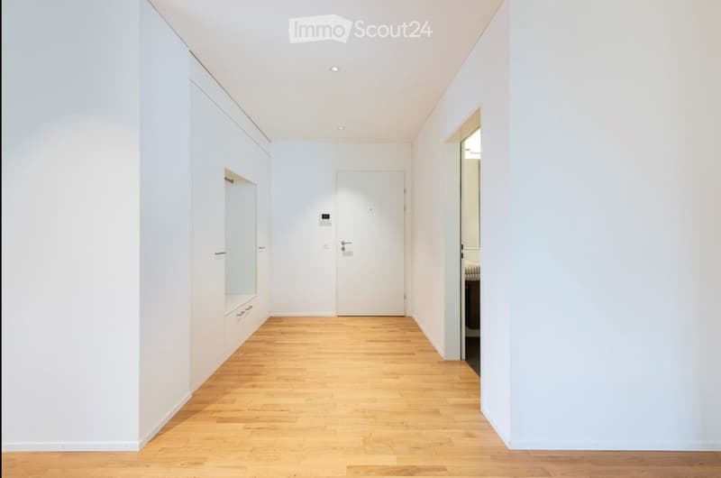 A clean, minimalist hallway with white walls, wooden flooring, and recessed lighting. Features a built-in closet on the left and a door at the end leading to another room.