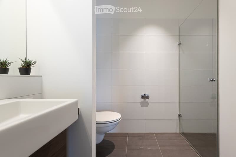 Modern bathroom with a white sink, toilet, glass-enclosed shower, and two small potted plants on the windowsill.