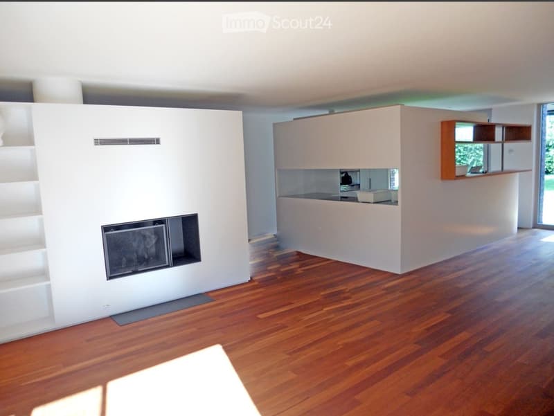 Modern living room with a built-in fireplace, wooden flooring, white walls, and an open kitchen area with a counter and shelves.