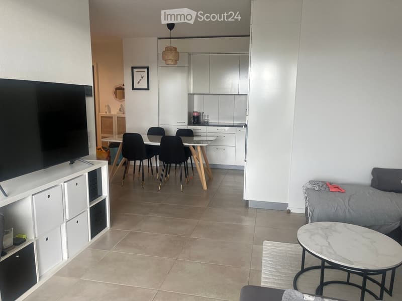 Modern open-plan living and dining area with a sofa, coffee table, TV stand, dining table with chairs, and a kitchen area with cabinets and appliances.