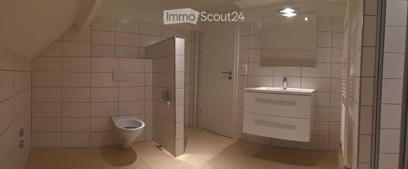 Modern bathroom with white tiled walls, a white sink with a mirror above, and a toilet in the corner.