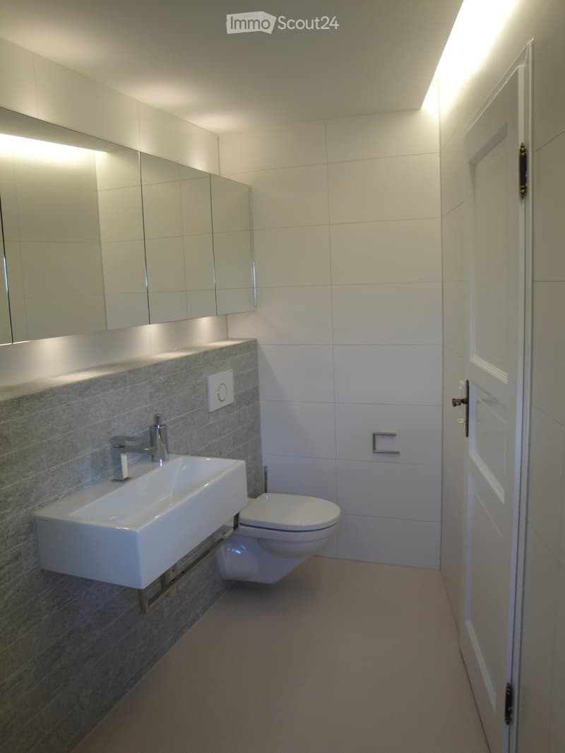 Modern bathroom with a white sink, chrome faucet, toilet, mirrored cabinet, and sleek gray tiled wall accents.