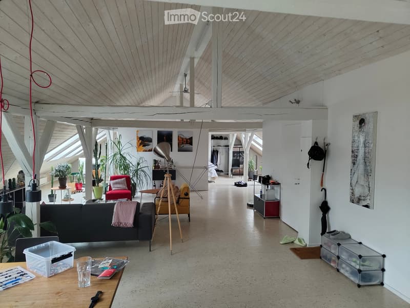 Open-concept living space with exposed wooden beams, skylights, and modern furniture including a sofa, chairs, a coffee table, and potted plants.
