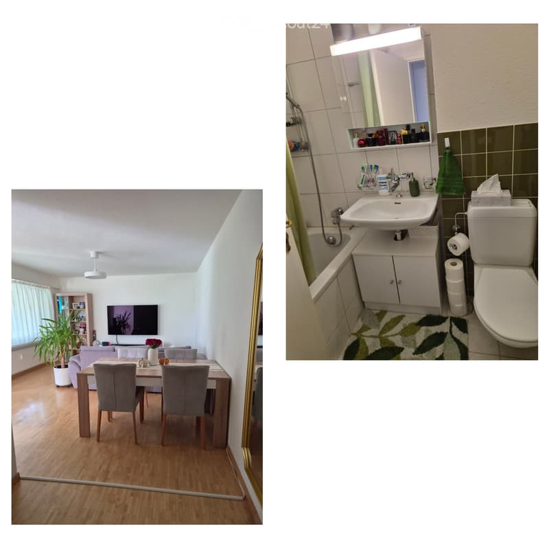 The image shows a modern living room with a dining area and a bathroom. The living room features a sofa, a dining table with chairs, a television, a bookshelf, and a potted plant. The bathroom includes a bathtub, sink, toilet, mirror, and a towel.