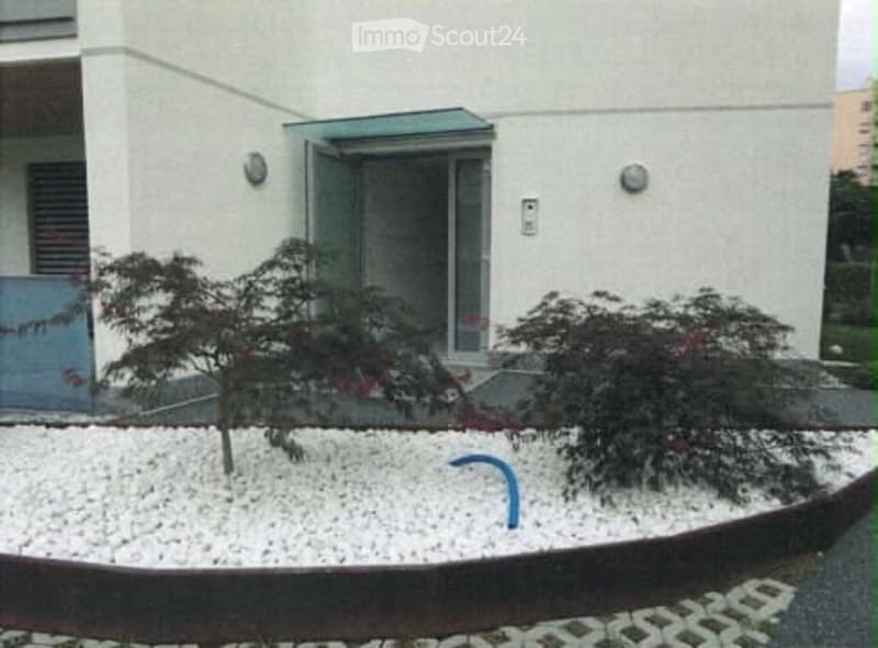 Small landscaped area with two small trees, white gravel, a curved concrete border, and a blue garden hose reel. The entrance to a building is visible in the background.