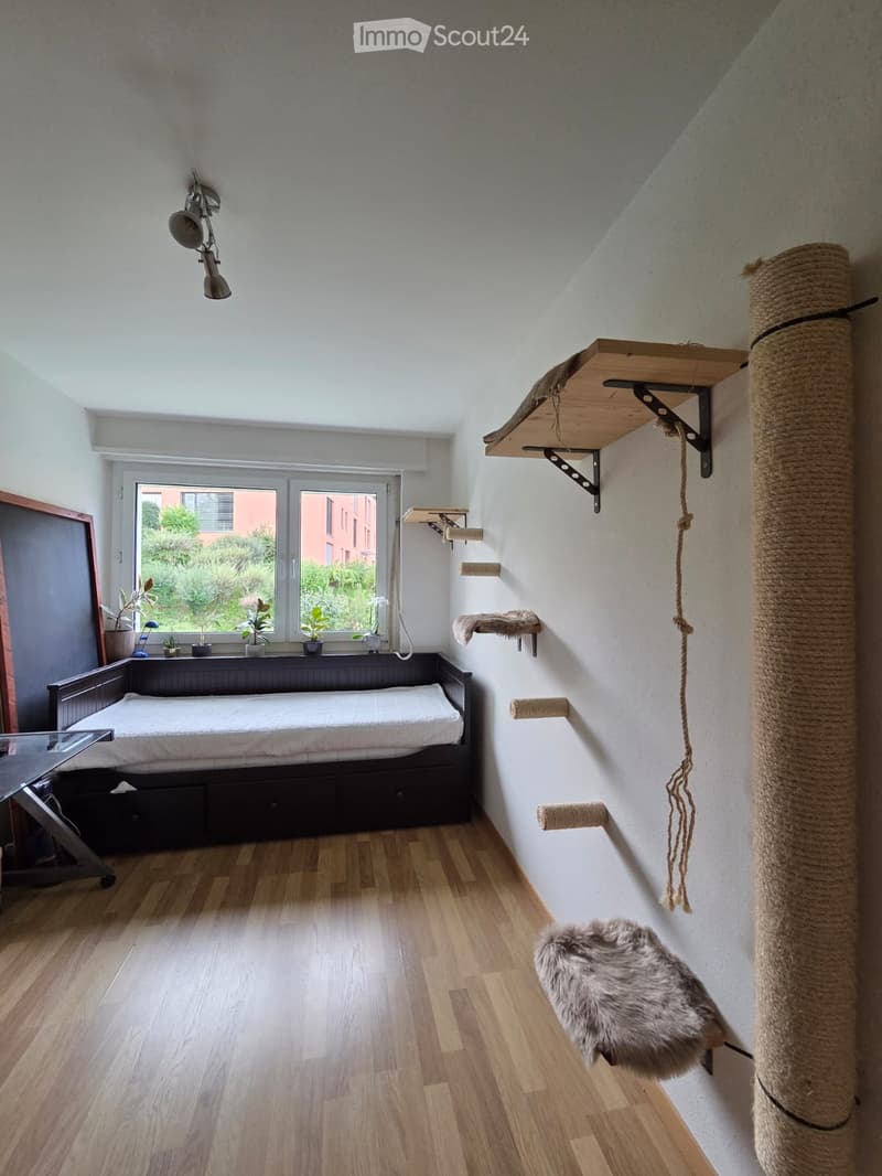 Cozy room with a bed, cat shelves, a cat tree, potted plants, and a small table and chair near the window.