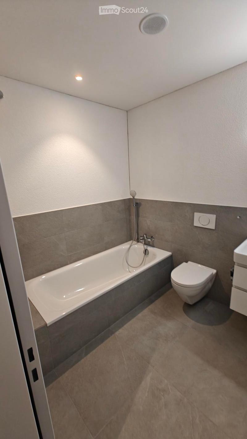 Modern bathroom with a white bathtub, toilet, and grey tiled walls. Features a sleek faucet and a recessed ceiling light.