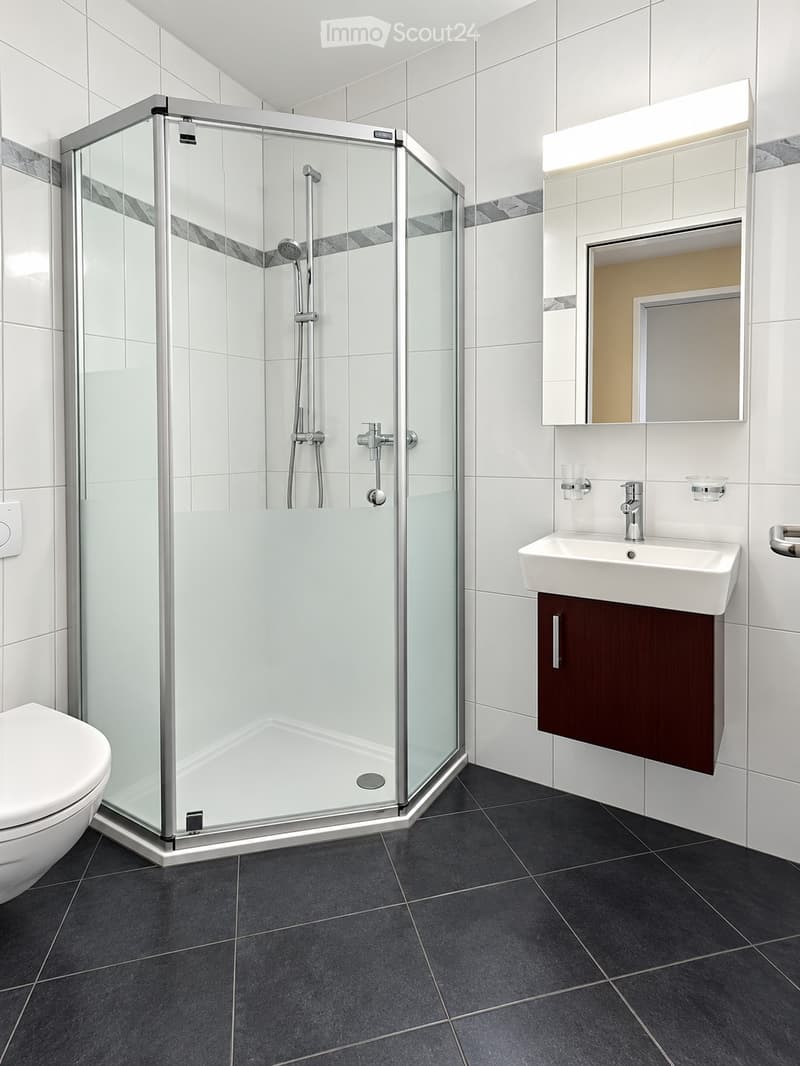 Modern bathroom with white tiles, a glass-enclosed shower, a toilet, a sink with a dark wooden cabinet, and a mirror with built-in lighting.