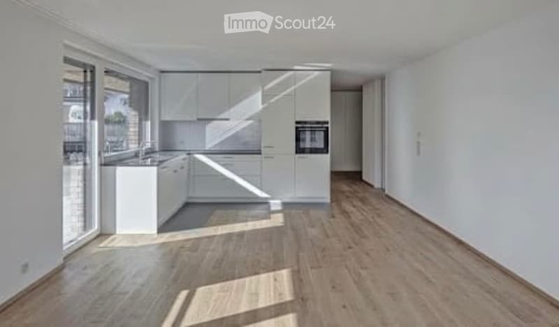 Modern kitchen with white cabinets, wooden flooring, and large windows allowing natural light to fill the space.