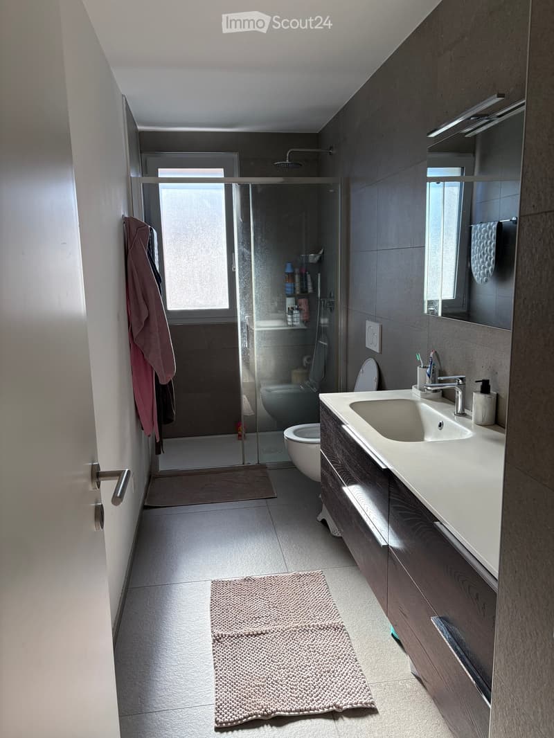 Modern bathroom with a white sink, dark wooden cabinet, large mirror, glass-enclosed shower, and a toilet. Includes a beige bathroom rug and a towel hanging on the wall.