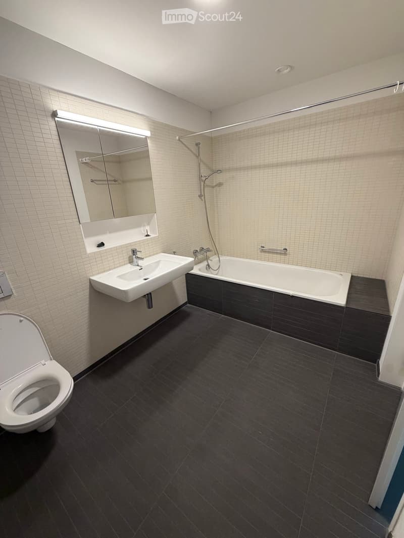 Modern bathroom with dark wooden flooring, white tiled walls, a bathtub, a sink, a toilet, and a mirrored cabinet with built-in storage.