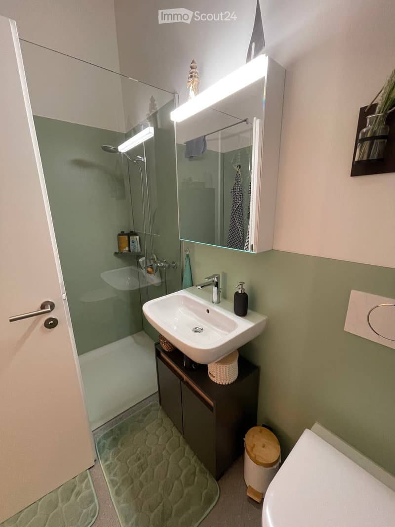 Modern bathroom with a white sink, mirror with built-in lighting, glass shower enclosure, and a dark wooden cabinet. Includes a soap dispenser, towel, and a small trash bin.