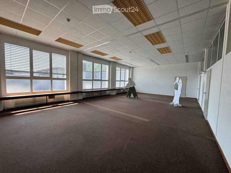 Empty room with large windows, carpeted floor, and white walls. No furniture or equipment present.
