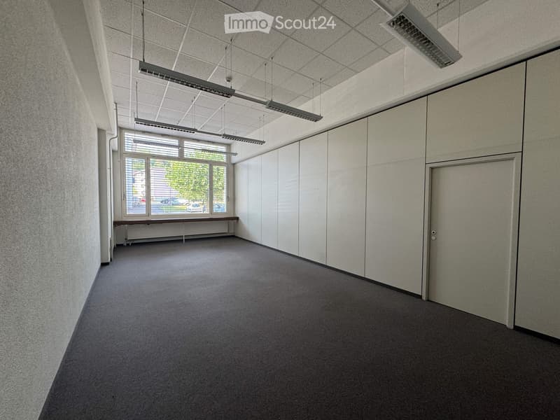 Empty room with grey carpet, white walls, large windows, and a closed door.