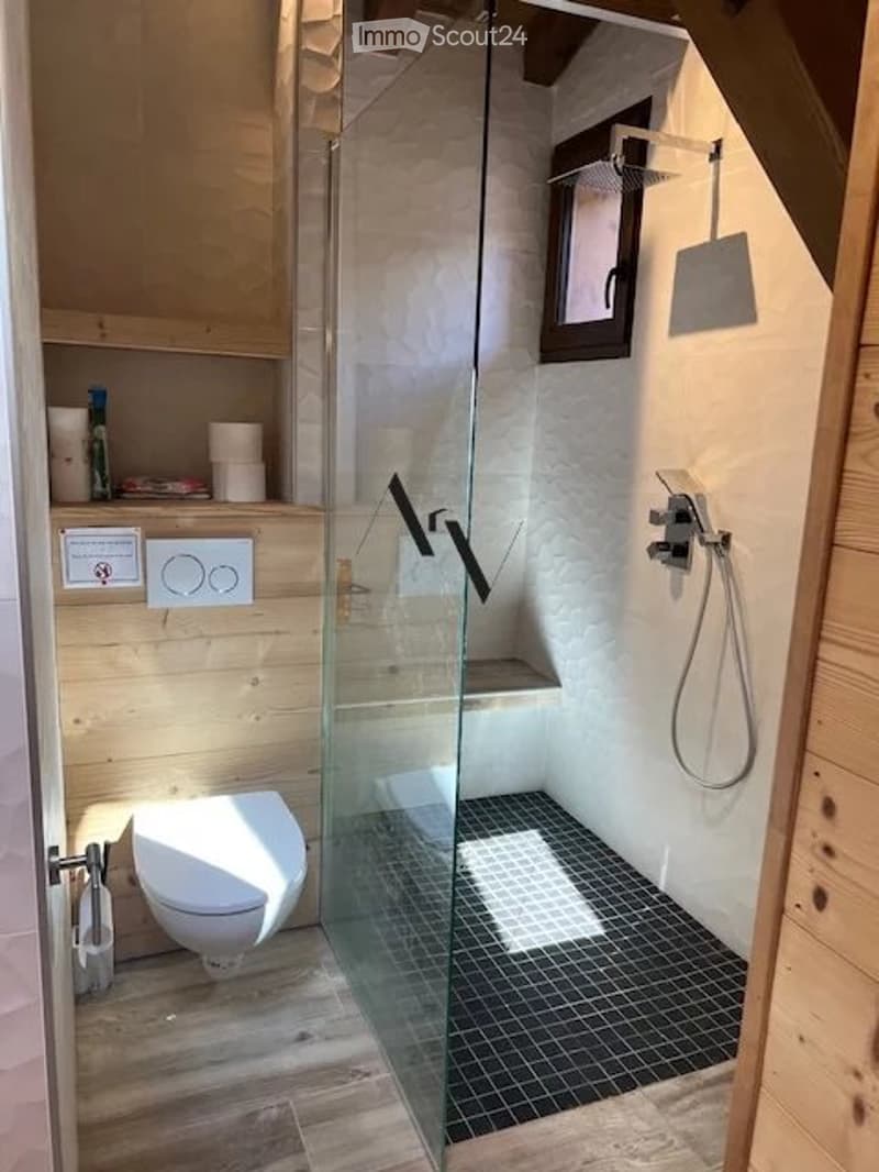 Modern bathroom with a glass-enclosed shower, toilet, and wooden walls. A small shelf holds toiletries and a mirror is mounted above the shower.
