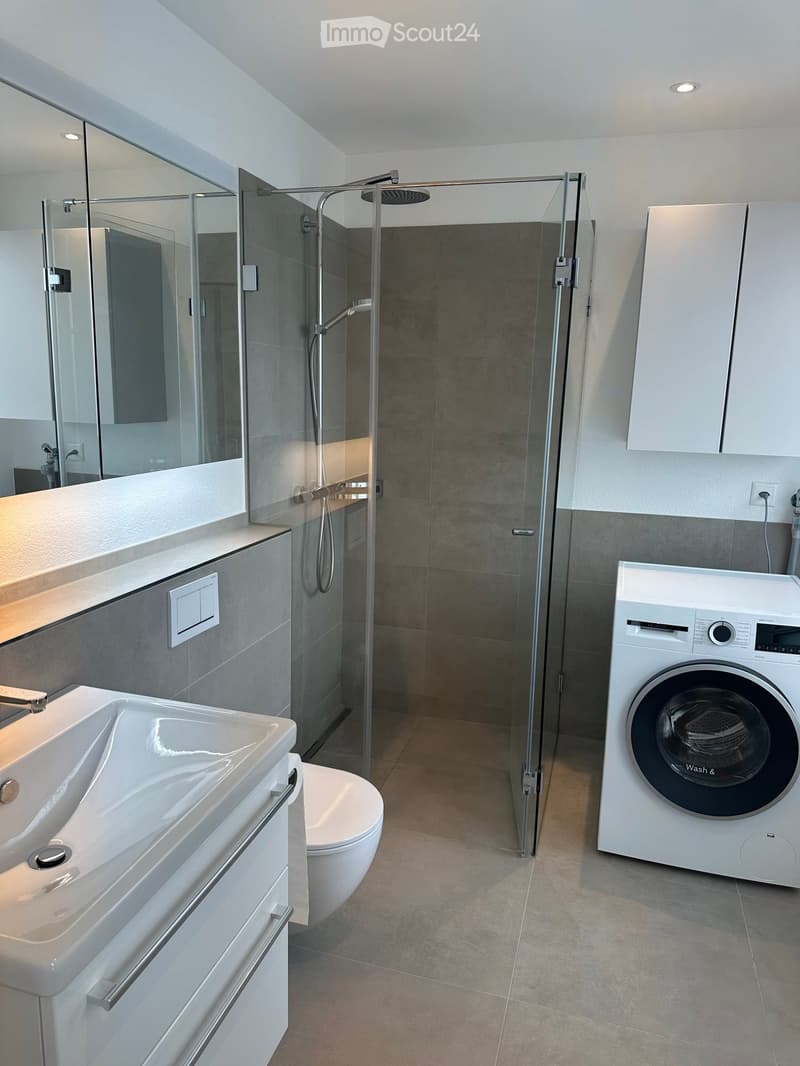 Modern bathroom with a white sink, toilet, glass-enclosed shower, and a private washing machine. Features include a large mirror and built-in cabinets.