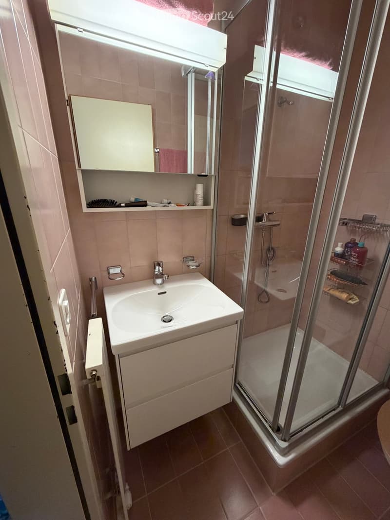 Modern bathroom with a white sink, mirror, and a glass-enclosed shower. The sink has a modern faucet and a built-in cabinet below. A pink towel hangs on the mirror, and a shower rack holds various toiletries.