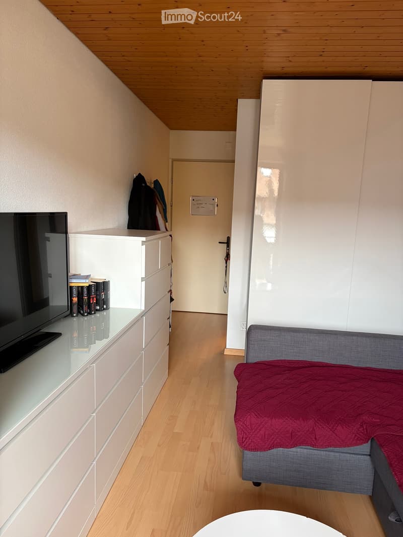 A modern, compact living space with a grey sofa, a white cabinet, a TV, and a small round table. The room features light wooden flooring and white walls.