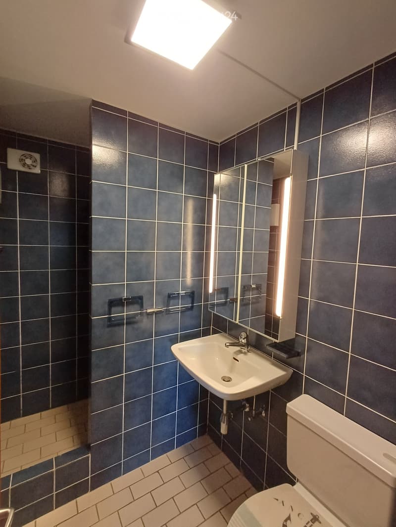 Modern bathroom with dark blue tiles, white sink, mirror, and toilet. Features a built-in shelf and a ceiling light.